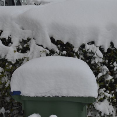 Snow Day