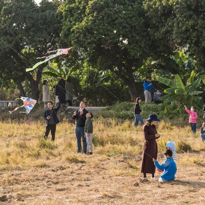 Flying A Kite